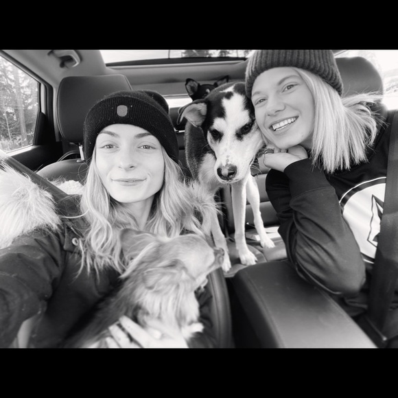 Meet your Posher, Shelby - Picture 1 of 1